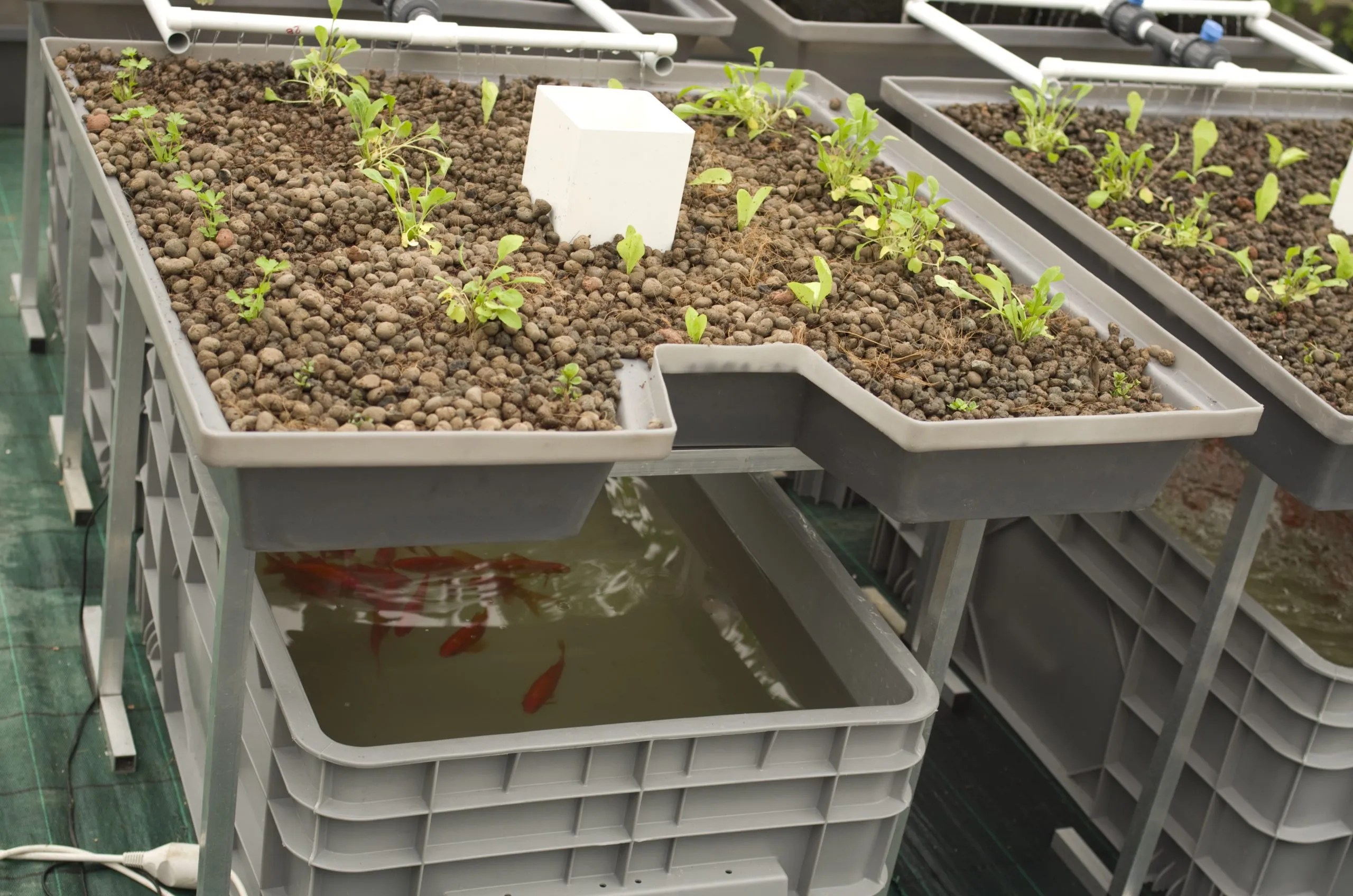 Component of aquaponics systems