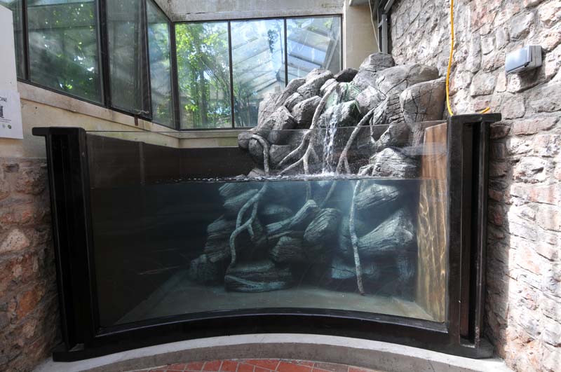 New orleans largest aquatic superstore | prostar rimless aquariums, reef aquarium supplies, live corals, saltwater aquarium supplies, neptune systems, … Bristol Zoo Native River Display tank - Leaders in Aquarium Technology