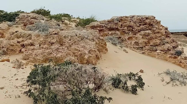 بالصور : اكتشاف فسيفساء ومواقع أثرية جديدة في بنزرت