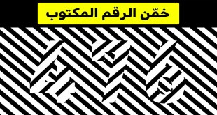 +10 صور مخادعة سوف تحيّر عقلك وبصرك في محاولة فهمها وتفسيرها