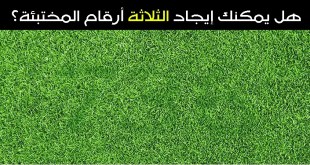 6 ألغاز صعبة تحتاج إلى قدرة عالية على التركيز والانتباه إلى التفاصيل المذكورة لحلّها