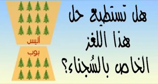 +10 ألغاز سوف تختبر طريقة تفكيرك وذكاء عقلك مُقدمة من العالِم ريموند سموليان هل تستطيع حلها؟