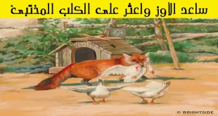 اختبار لقوة الملاحظة: حاول أن تجد الأشياء المختبئة في هذه الصور