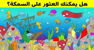 +10 صور ذات تفاصيل مخفيّة بشكل دقيق والتي لن يراها سوى أقوياء الملاحظة