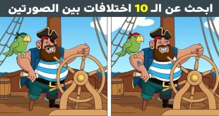 +10 صور سوف تختبر مدى قوة تركيزك في التفاصيل ومعرفة الاختلافات – مع الحل