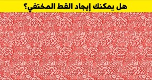 +10 صور لا يمكن رؤية تفاصيلها الخفيّة إلا بتقريبها من أنفك وتوسيع عينيك والتركيز عليها