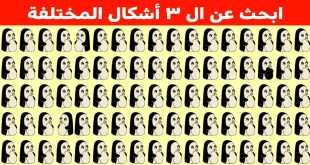 اختبر حدة بصرك وحاول إيجاد العناصر المختفية ببراعة في هذه الصور