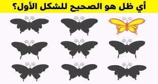 +10 ألغاز سوف تختبر قدراتك على التركيز والانتباه في الصور للوصول إلى الحل