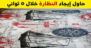 +10 صور تحتوي على عناصر متخفيّة ببراعة والمطلوب هو أن تساعدنا في إيجادهم