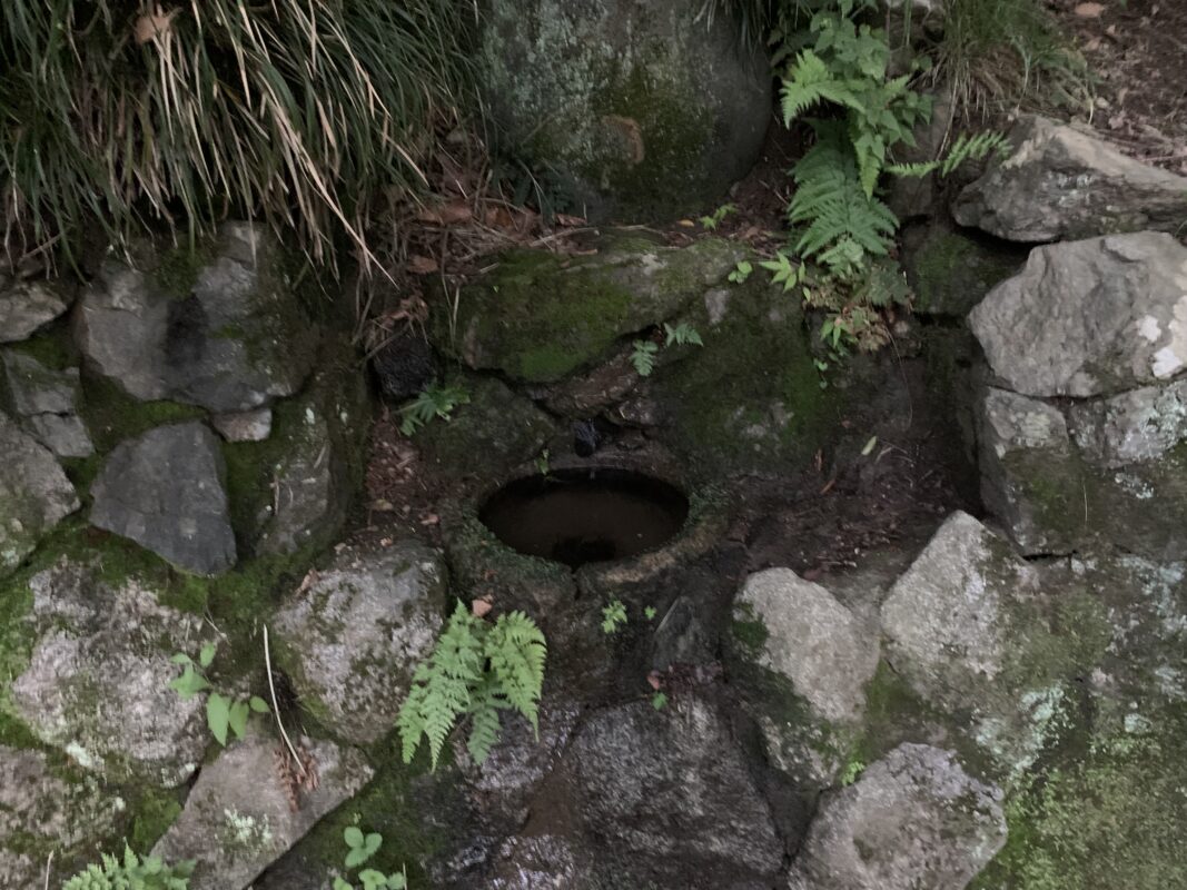 手洗いの水