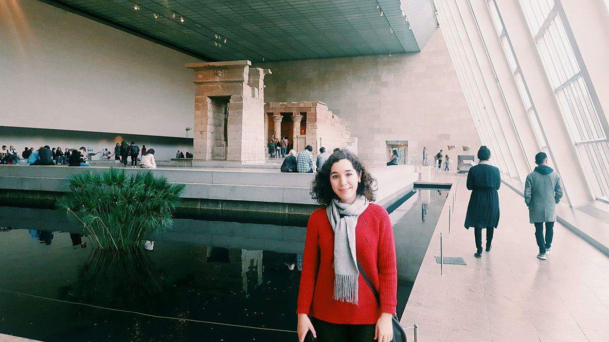 MET Museum in New York