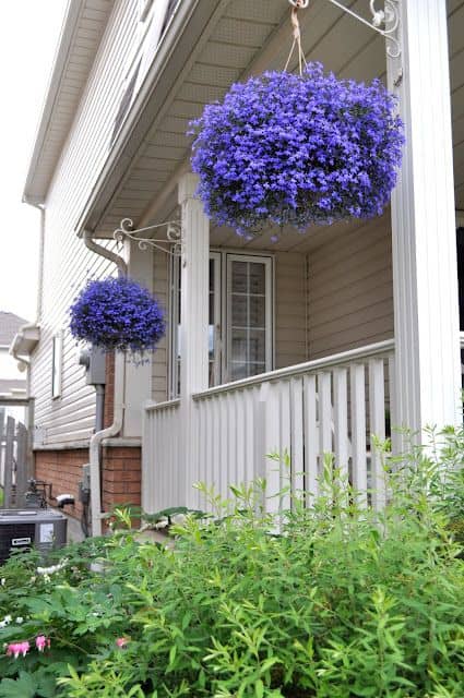 While bed bugs aren't necessarily dangerous, they can wreak havoc on your home. 17 Fascinating Examples How To Arrange Hanging Flowers For