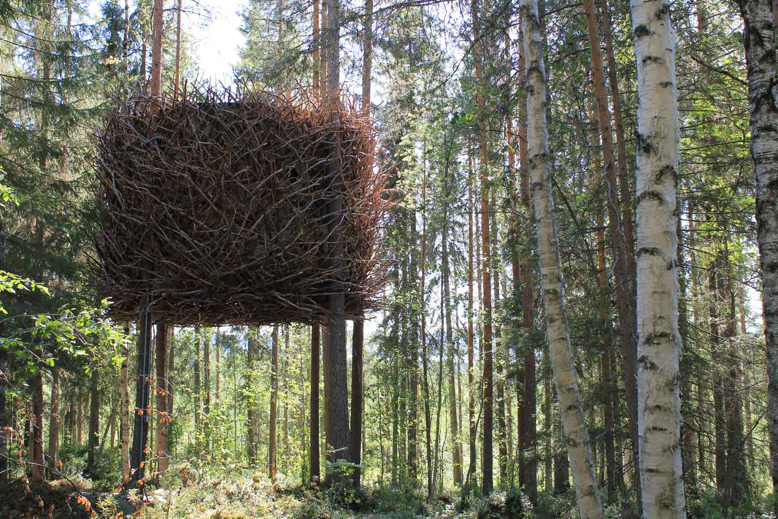 Treehotel The Nest / by By Inredningsgruppen