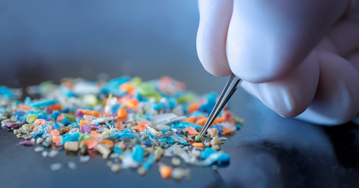 Lab Contamination and False Positives