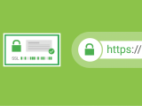 Troubleshooting Wordpress Woocommerce Websites Ssl Issues Green