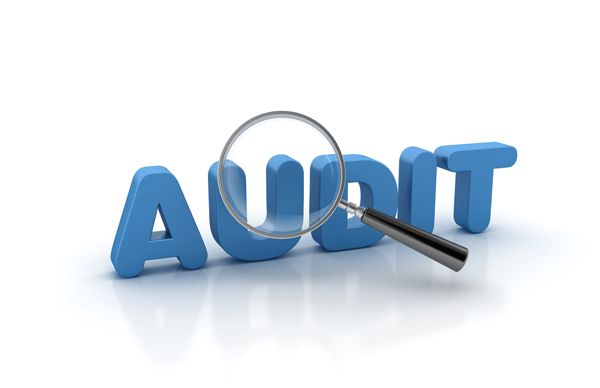 If you’ve ever been audited by the irs, we want. 9 Tips For Remote Audit Success Arena