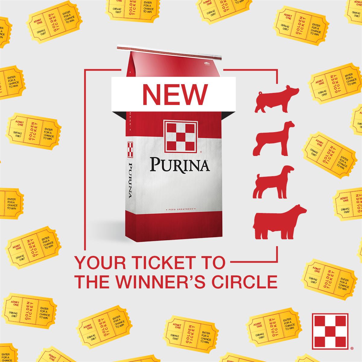 Picture of Purina Golden Ticket Supplement