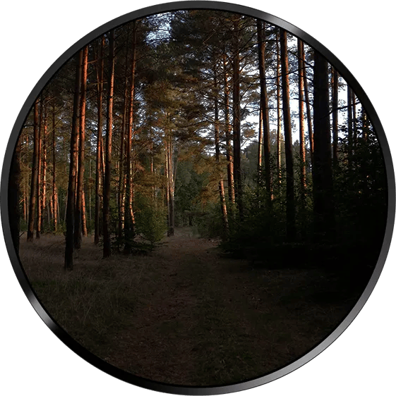 Daylight through-scope view
