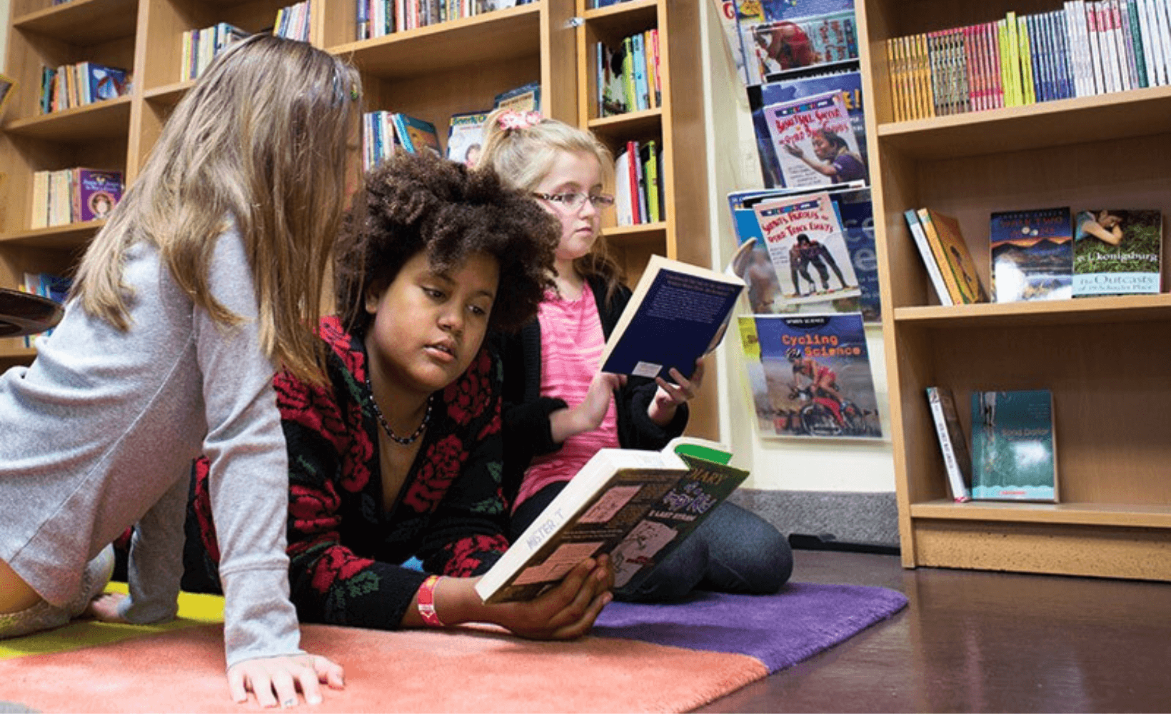 The Arrowsmith Program - Gradient Design Collection - High Resolution Quality