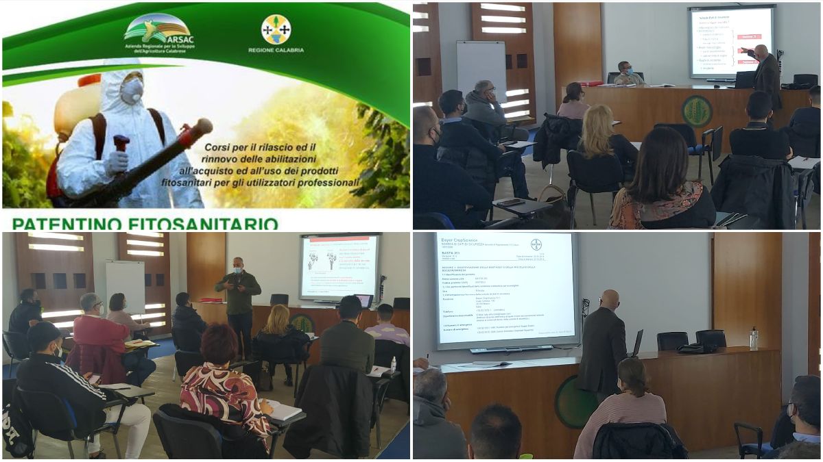 Arsac Cosenza: Riprendono I Corsi Di Formazione In Presenza Per Il Rilascio Del “Patentino Fitosanitario” - Azienda Regionale Per Lo Sviluppo Dell'agricoltura Calabrese 675_x_1200_jpg