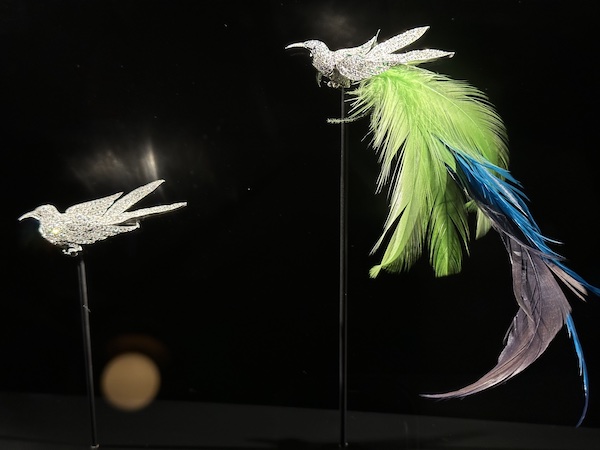 インターメディアテク開館十周年記念特別展示『極楽鳥』