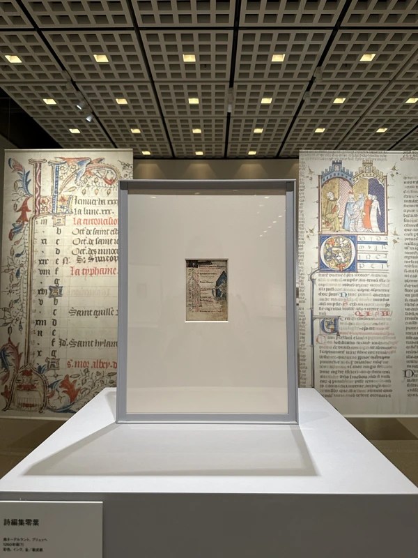 国立西洋美術館所蔵　内藤コレクション　写本カタログレゾネ 国立西洋美術館所蔵<br>内藤コレクション<br>写本カタログレゾネ