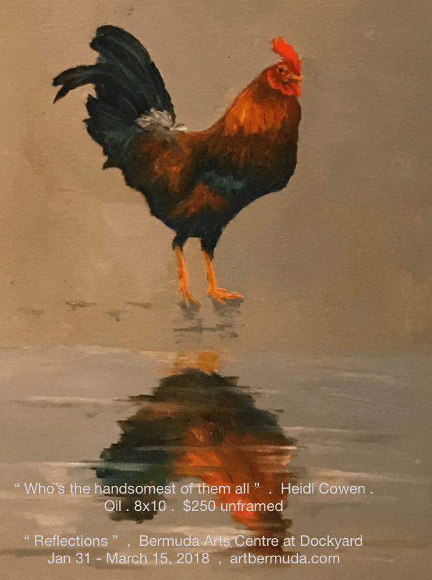 Bermuda Rooster, Oil painting, Heidi Cowen