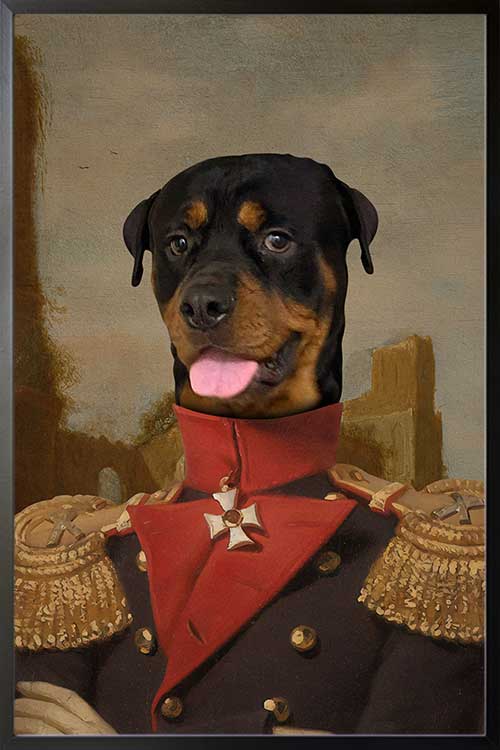 My Pet In General Suit Poster for Christian Labrador