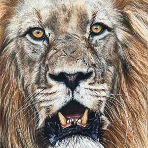 King's Gaze