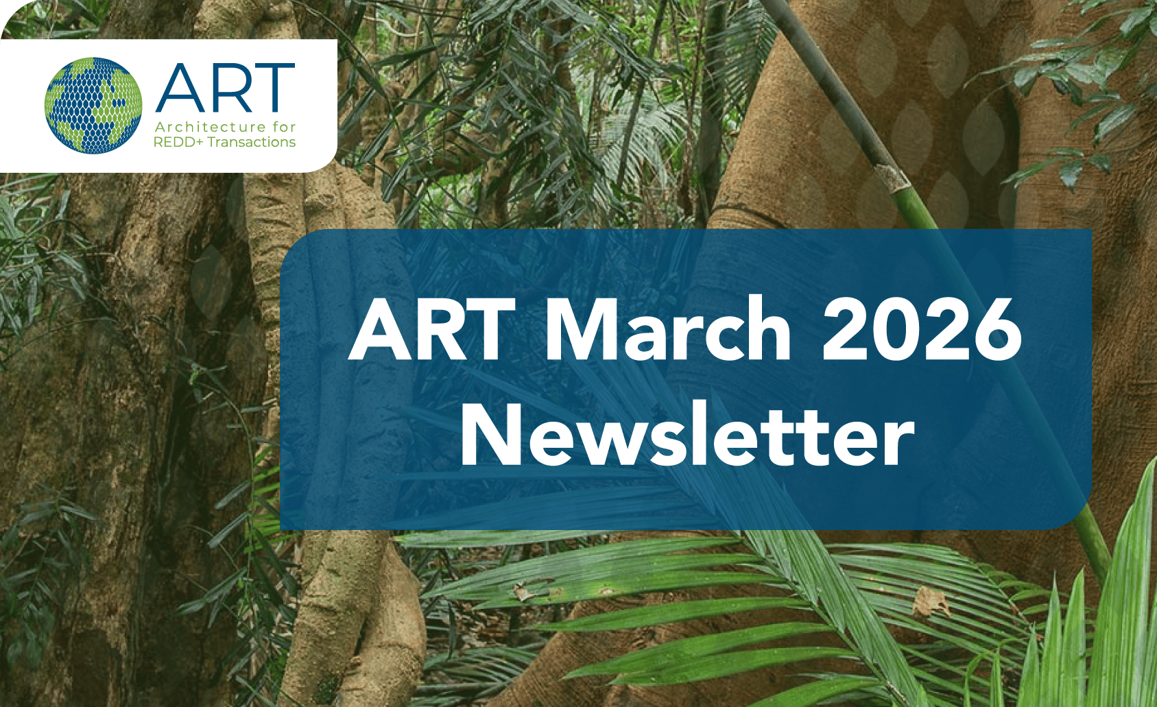 ART March 2026 Newsletter ART For REDD ART March 2026 Newsletter 1 