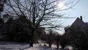 Unser Garten am 1. März 2016 um 10:18 Uhr
