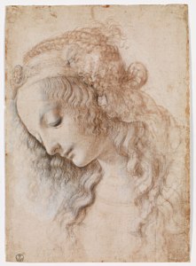 leonardo-head