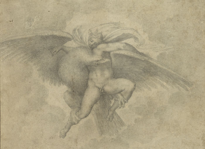 Michelangelo, Ganymede. Fogg Art Museum