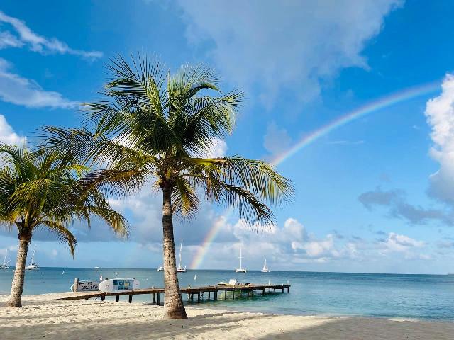 HIGH VALUE, LOW IMPACT OF MAS DI E MESUN COS? – Aruba Native