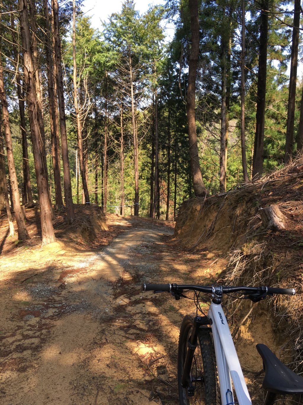 南大阪からもほど近いクローズドコース「吉野マウンテンバイクパーク
