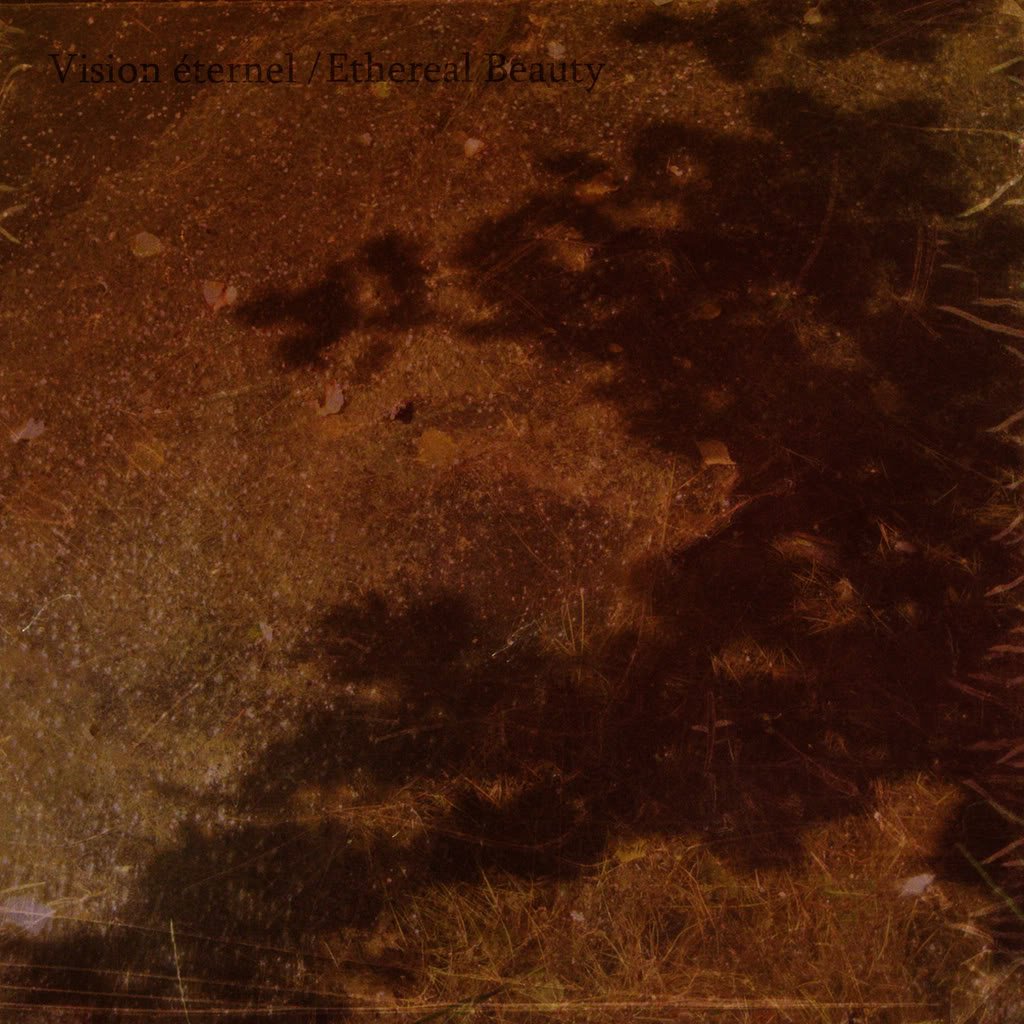 Vision Éternel and Ethereal Beauty split cover, designed by Niels Geybels at Depraved Designs in May of 2009
