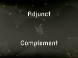Adjunct Vs Complement What S The Difference
