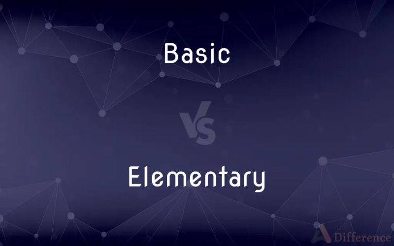 Basic Vs Basis What S The Difference - Premium Minimal Design - HD