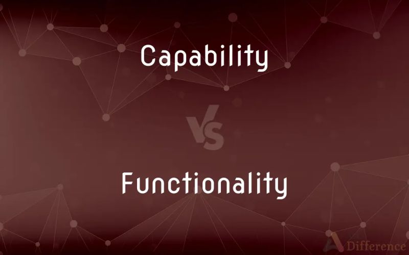 Function Vs Functionality What S The Difference - Professional Landscape Art - Ultra HD