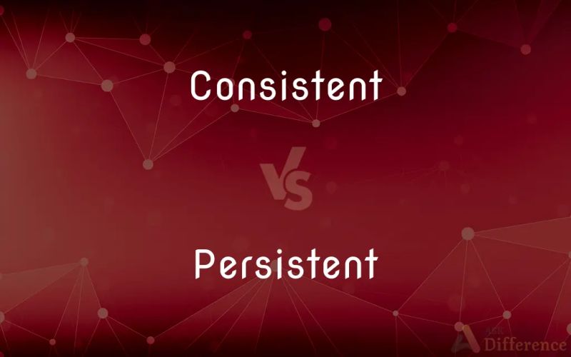 Difference Between Consistent And Persistent Definition Meaning Usage - Premium Landscape Wallpaper Gallery - Retina