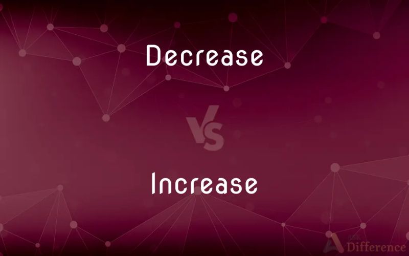 Decrease Vs Increase What S The Difference - High Resolution Landscape Designs for Desktop