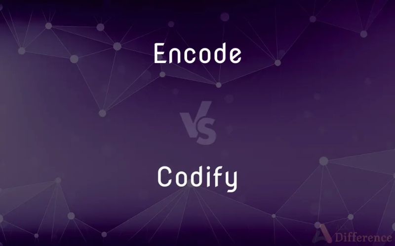Encode Vs Decode Carbonitypod - Download Elegant Abstract Wallpaper | 4K