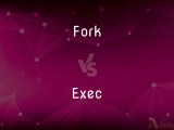 Fork Vs Exec What S The Difference
