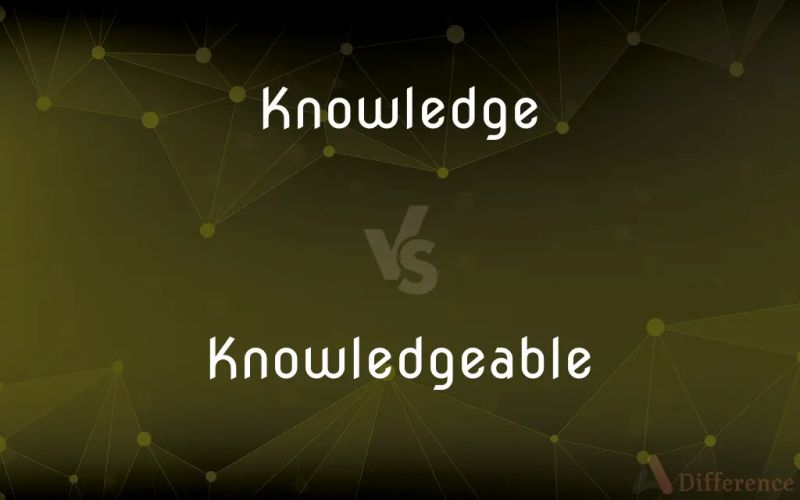 Knowlage Vs Knowledge Which Is Correct Spelling - Abstract Texture Collection - Full HD Quality