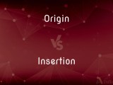 Origin Vs Insertion What S The Difference