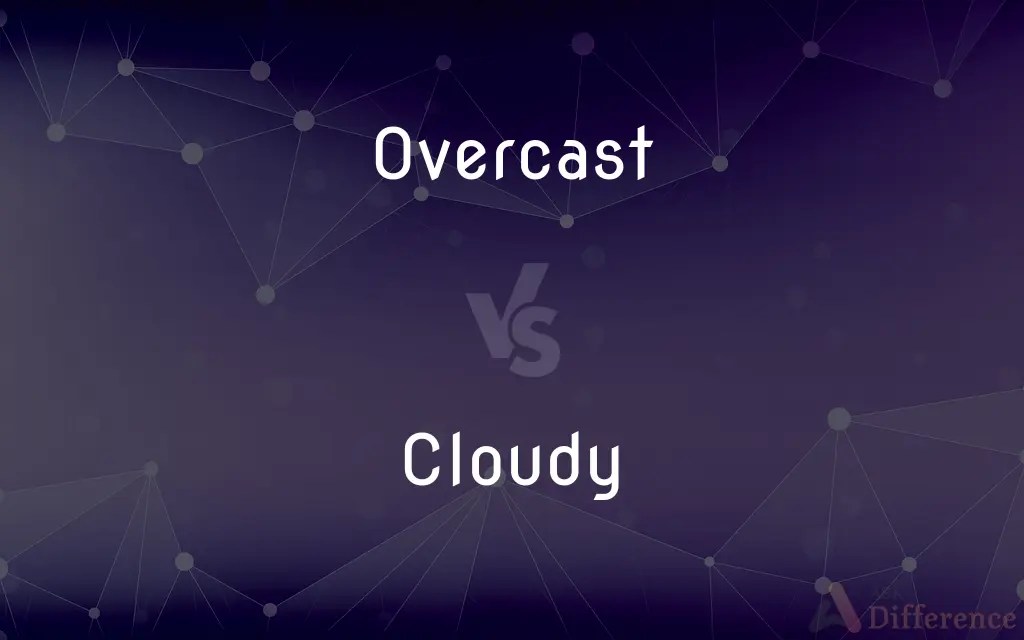 Overcast Vs Cloudy What S The Difference Overcast Vs Cloudy 19055.webp