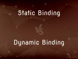Static Binding Vs Dynamic Binding What S The Difference