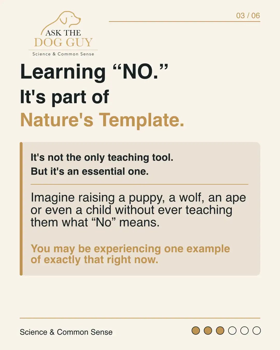 Learning No is part of Nature's Template. Young social animals learn boundaries as part of growing up.
