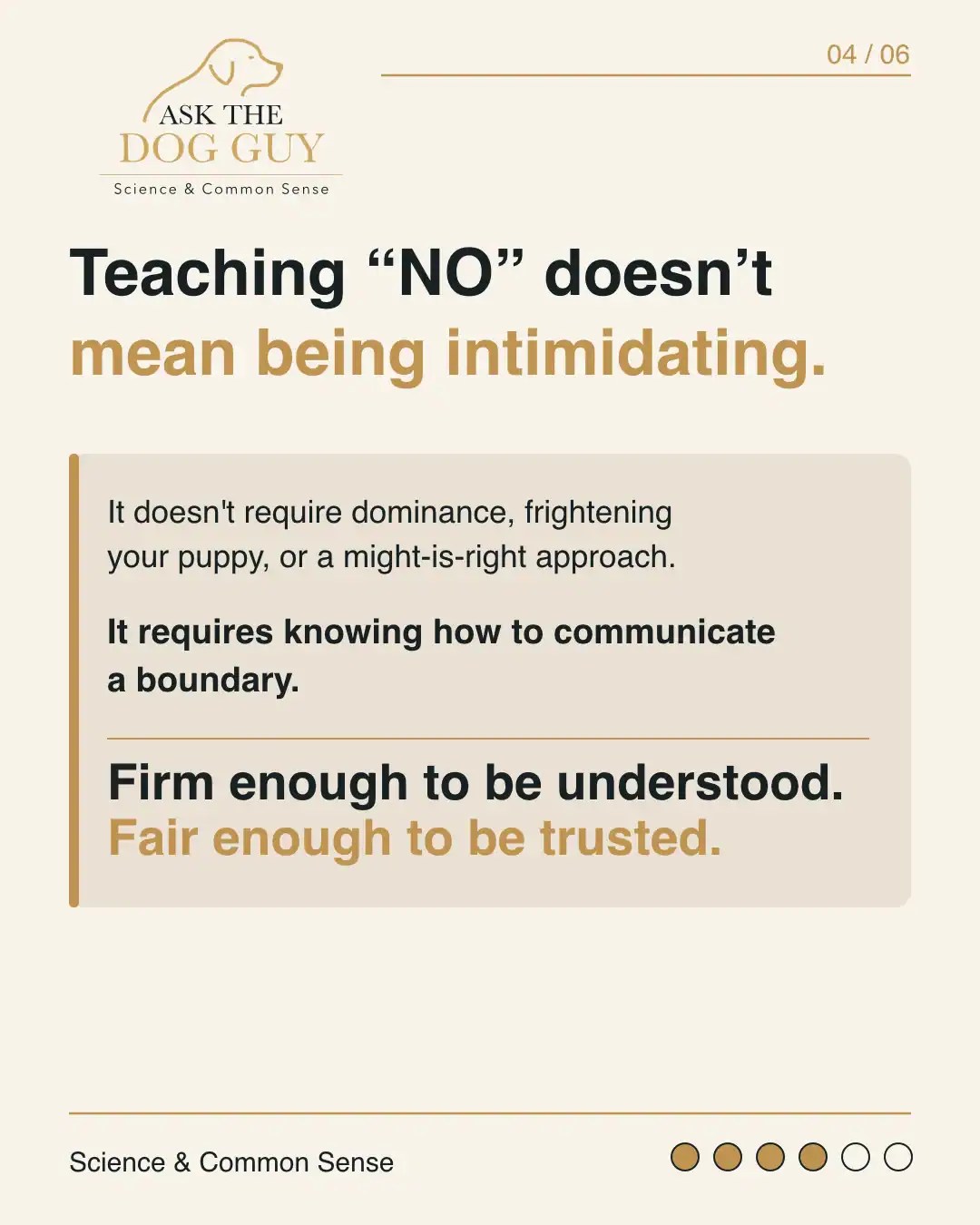 Teaching a puppy No does not require dominance, intimidation, fear or undermining the puppy's confidence.