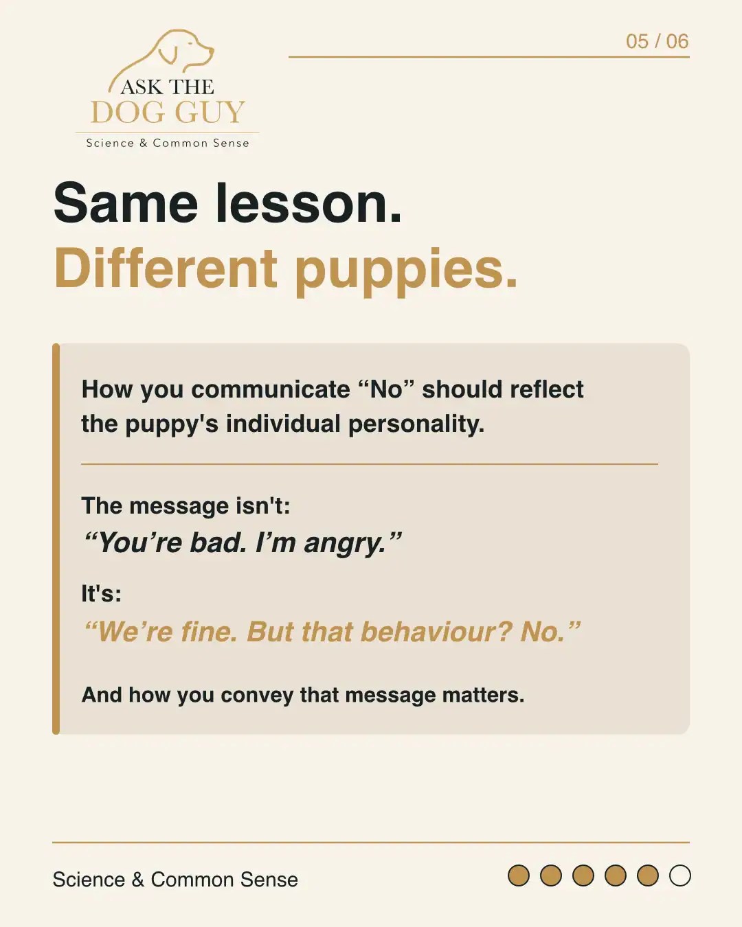 Same lesson, different puppies. Effective communication considers the individual puppy's personality and distinguishes correction from anger.